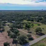 Aerial view of treed landscape.