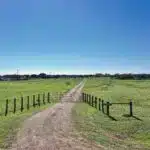 Fenced dirt road through green fields.
